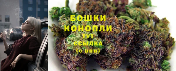 ECSTASY Армянск