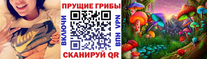 Псилоцибиновые грибы Psilocybine cubensis  Купить закладки  Полярный 