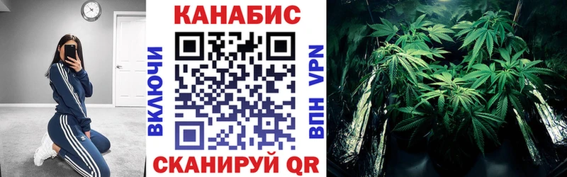 Купить закладки  Полярный  Каннабис гибрид 